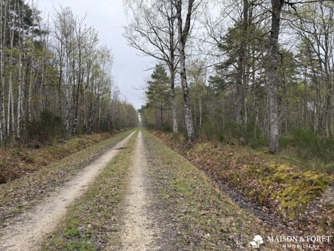 Photos 2 - Prestige - PROPRIÉTÉ de 165ha