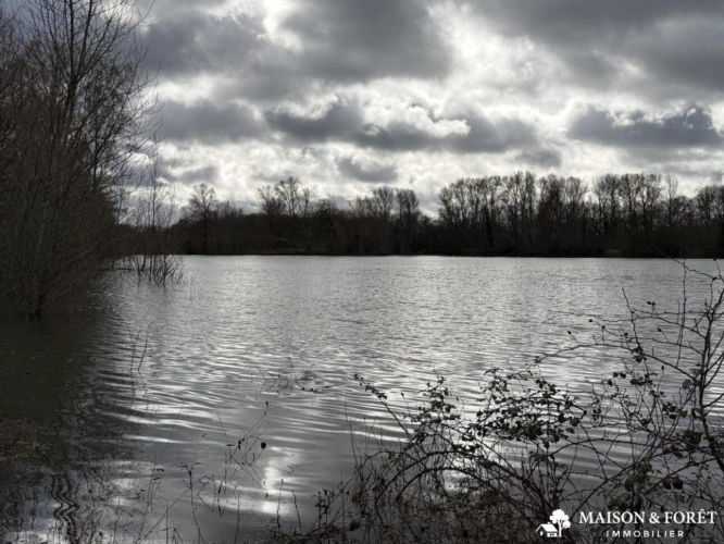 Photos 4 - Rurale - ETANG