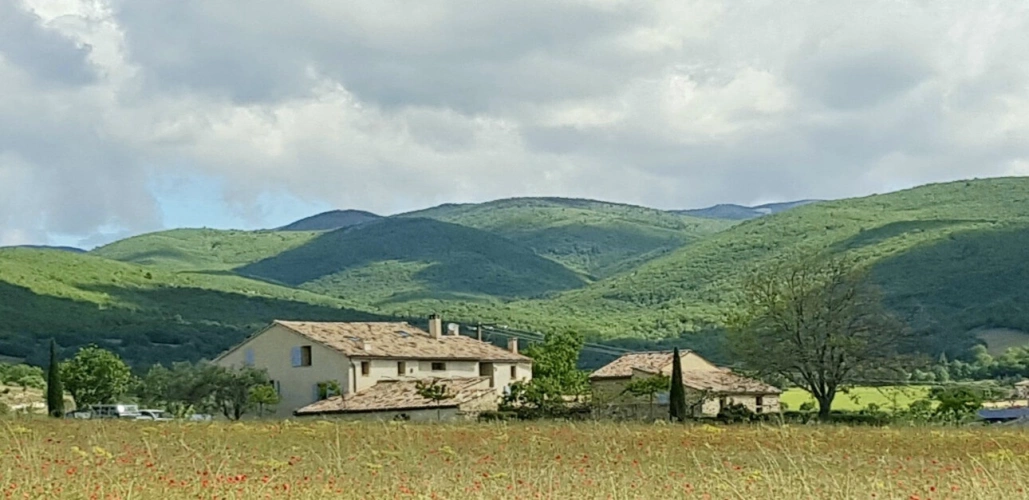 Photos 1 - Prestige - MAS RESTAURE  avec 12 Hectares  et autonome