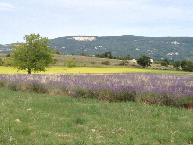 Photos 13 - Prestige - MAS RESTAURE  avec 12 Hectares  et autonome