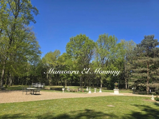 Photos 8 - Rurale -  PROPRIÉTÉ D'EXCEPTION — DEMEURE DE PRESTIGE  Chambray-lès-Tours (37)