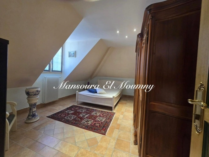 Photos 29 - Rurale -  PROPRIÉTÉ D'EXCEPTION — DEMEURE DE PRESTIGE  Chambray-lès-Tours (37)