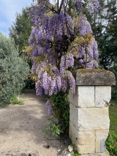 Photos 9 - Prestige - Propriété de charme bord de riviére 242m²