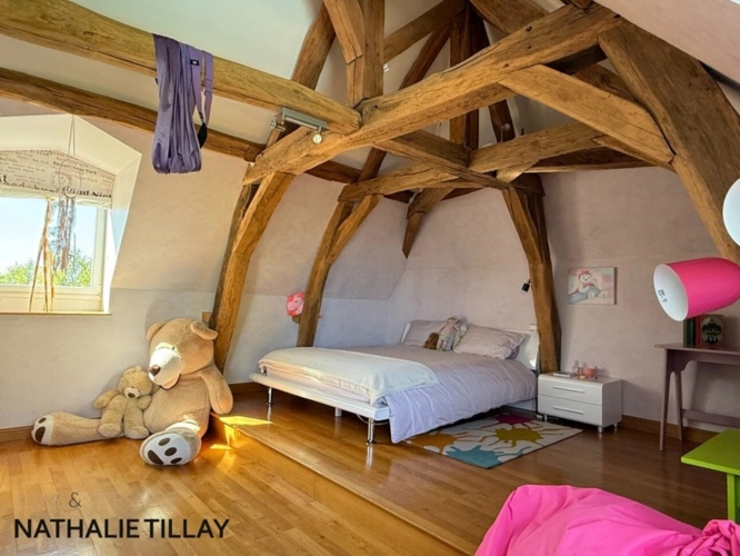 Photos 24 - Prestige - ORLEANS St jean de Braye, propriete  de charme avec piscine, 427 m²  habitables- Terrain de 2634 m² , St Jean de Braye