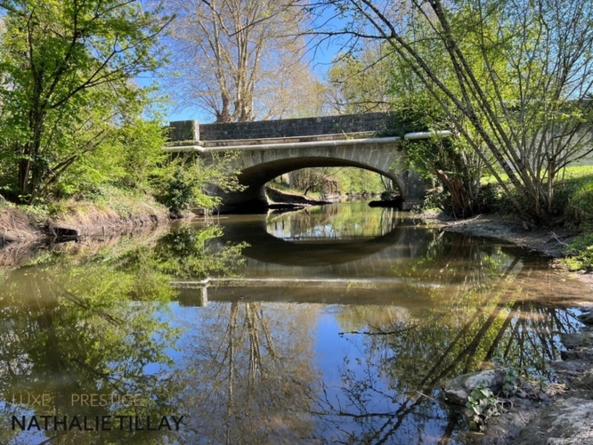 Photos 2 - Prestige - Propriete à vendre, superbe Moulin rénové et bordé par la rivière, a l est d Orleans, parcelle de 4500 m²