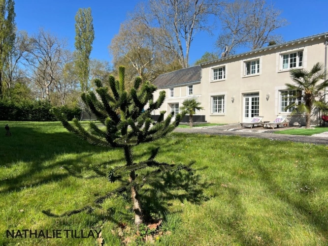 Photos 4 - Prestige - Propriete à vendre, superbe Moulin rénové et bordé par la rivière, a l est d Orleans, parcelle de 4500 m²