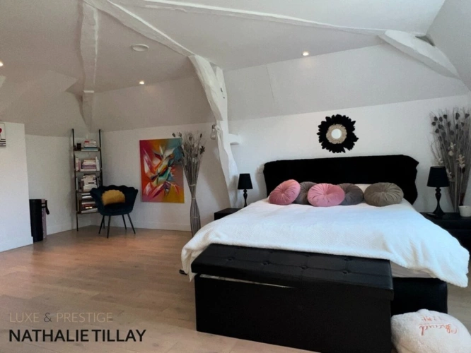 Photos 10 - Prestige - Propriete à vendre, superbe Moulin rénové et bordé par la rivière, a l est d Orleans, parcelle de 4500 m²