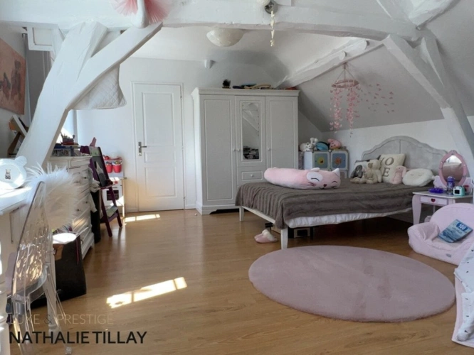 Photos 12 - Prestige - Propriete à vendre, superbe Moulin rénové et bordé par la rivière, a l est d Orleans, parcelle de 4500 m²