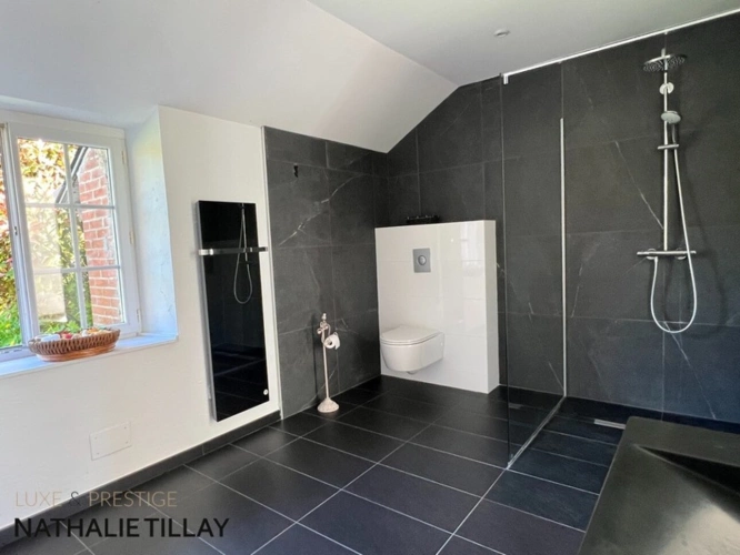 Photos 17 - Prestige - Propriete à vendre, superbe Moulin rénové et bordé par la rivière, a l est d Orleans, parcelle de 4500 m²