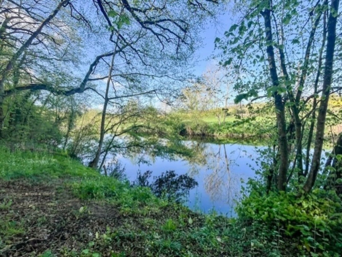 Photos 1 - Rurale - Terrain à vendre de 1 500m² AVAILLES THOUARSAIS (79)