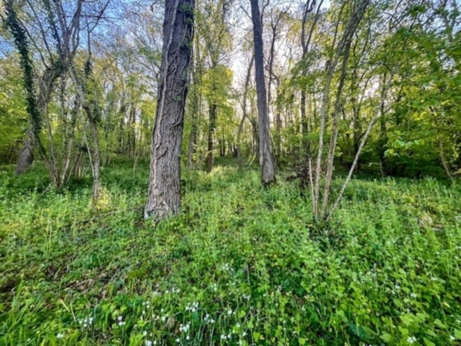 Photos 2 - Rurale - Terrain à vendre de 1 500m² AVAILLES THOUARSAIS (79)