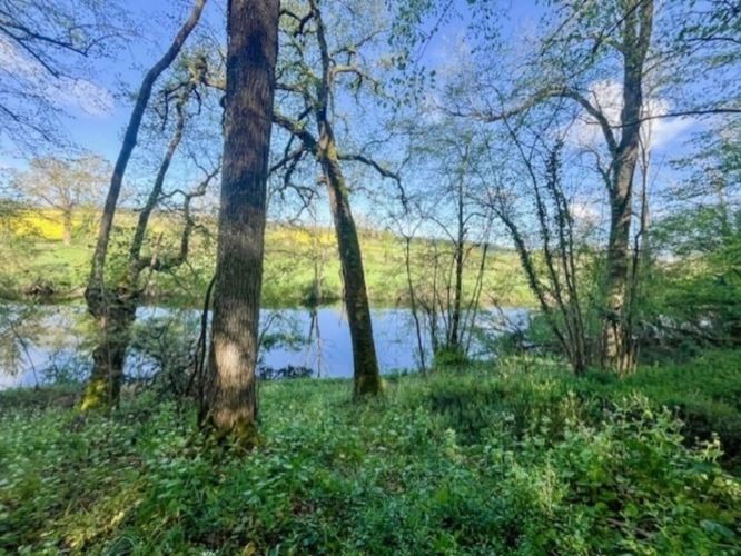 Photos 3 - Rurale - Terrain à vendre de 1 500m² AVAILLES THOUARSAIS (79)