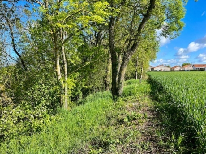 Photos 5 - Rurale - Terrain à vendre de 1 500m² AVAILLES THOUARSAIS (79)