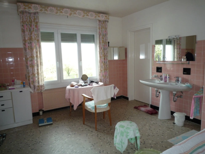 Photos 15 - Prestige - MONTDAUPHIN (77) à vendre ensemble immobilier composé de deux maisons, de 2 bâtiments industriels sur un terrain de  de 2 hectares