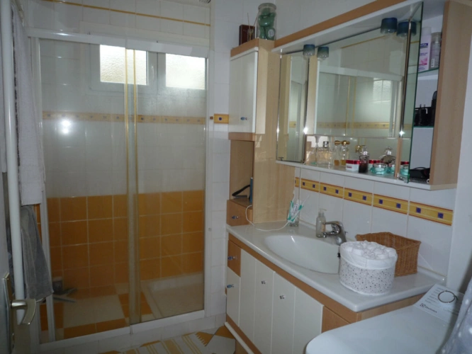 Photos 26 - Prestige - MONTDAUPHIN (77) à vendre ensemble immobilier composé de deux maisons, de 2 bâtiments industriels sur un terrain de  de 2 hectares