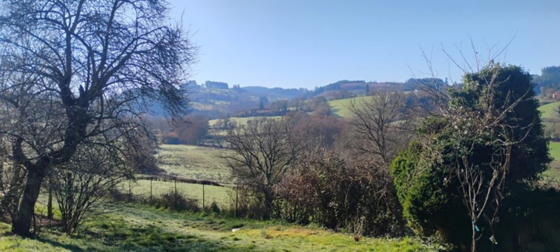 Photos 4 - Rurale - Belle Maison de maître bourguignonne à vendre 7 pièces SAINT IGNY DE VERS (69)