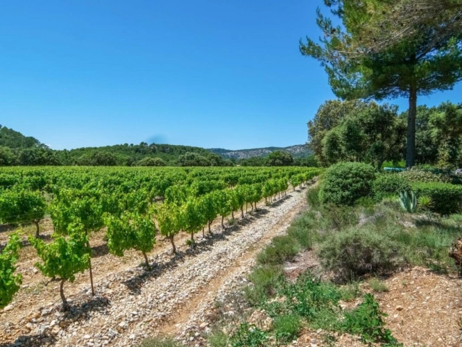 Photos 17 - Rurale - Maison de campagne
