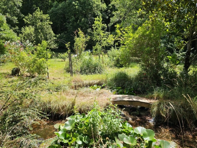 Photos 20 - Rurale - Maison de caractère