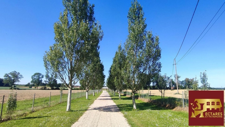 Photos 3 - Équestre - Ferme bressane 7 hectares sans voisin