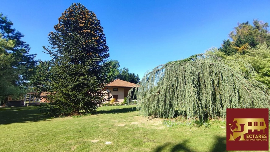 Photos 7 - Équestre - Ferme bressane 7 hectares sans voisin