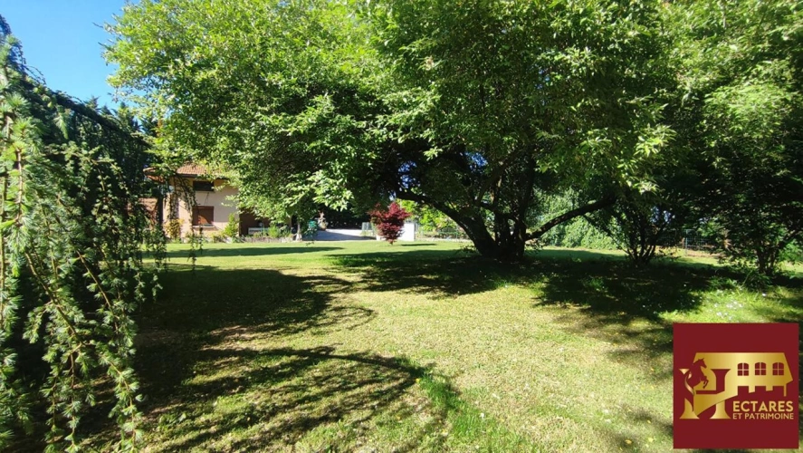 Photos 8 - Équestre - Ferme bressane 7 hectares sans voisin