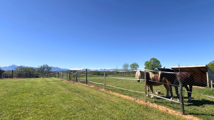 Photos 15 - Équestre - Haute-Garonne : Propriété dexception de 22 hectares au pied des Pyrénées (31)