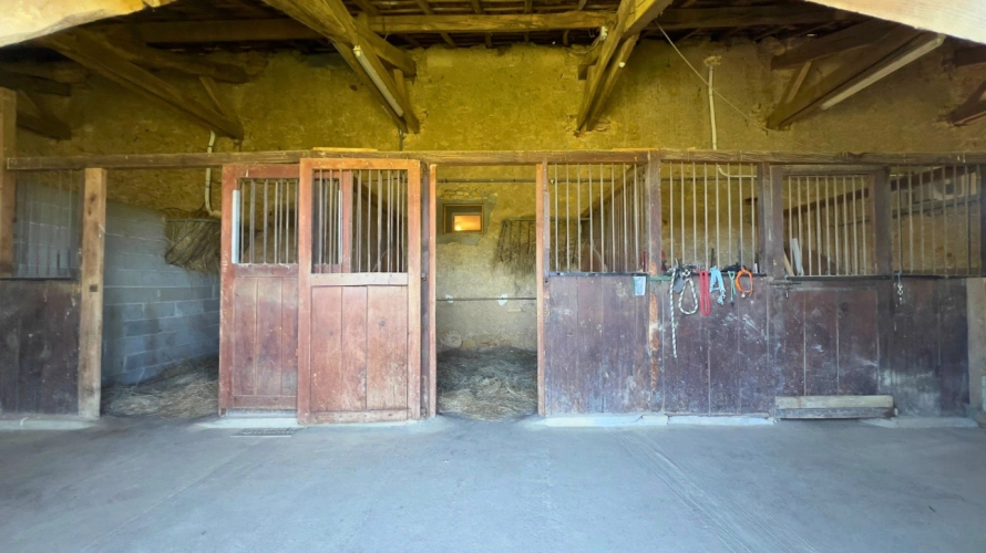 Photos 16 - Équestre - Haute-Garonne : Propriété dexception de 22 hectares au pied des Pyrénées (31)