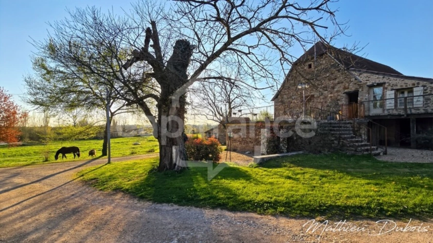 Photos 20 - Équestre - Domaine touristique de caractère au cœur d’une destination prisée du Lot