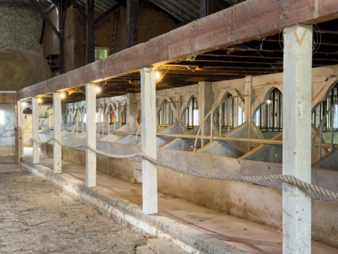 Photos 2 - Équestre - Domaine équestre d’exception sur 40 hectares — Authenticité, nature et passion proche de Penne d’Agenais (47)