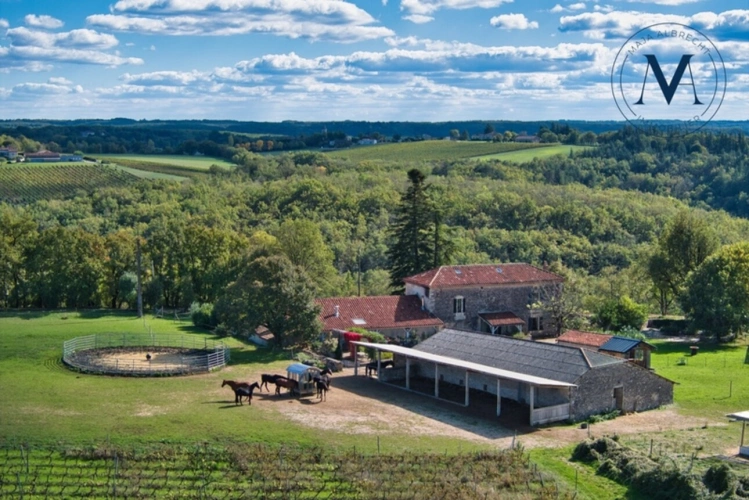 Photos 3 - Équestre - Propriété d’exception où le cheval est au cœur de la vie quotidienne proche de TOURNON D'AGENAIS (47)
