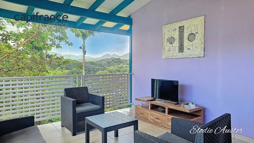 Photos 17 - Touristique - Propriete à vendre 28 pièces PETIT BOURG (971)