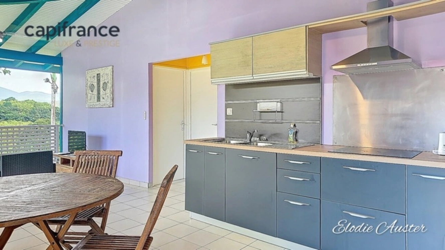 Photos 18 - Touristique - Propriete à vendre 28 pièces PETIT BOURG (971)