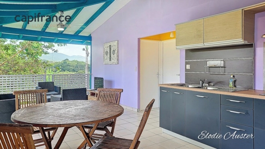 Photos 22 - Touristique - Propriete à vendre 28 pièces PETIT BOURG (971)