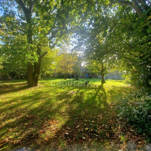 Photos 6 - Prestige - Propriété à vendre 9 pièces LES LOGES (76790) proche Etretat