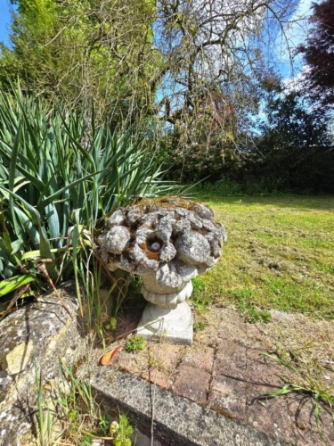 Photos 14 - Prestige - Propriété