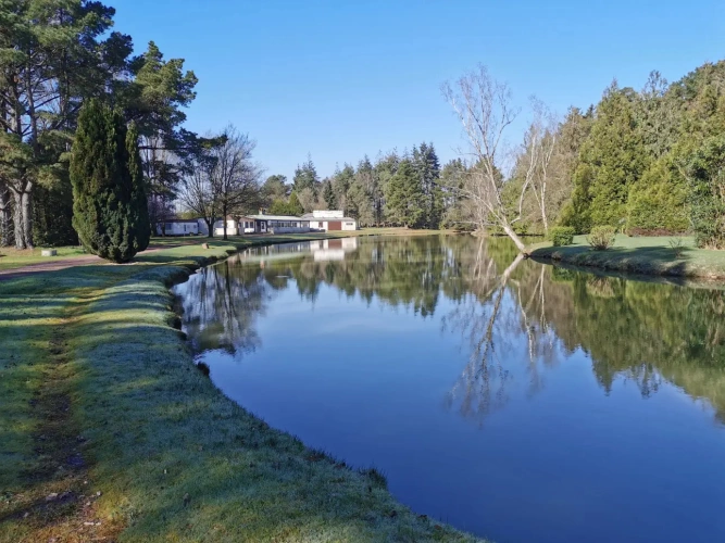 Photos 1 - Forestière - Guinguette