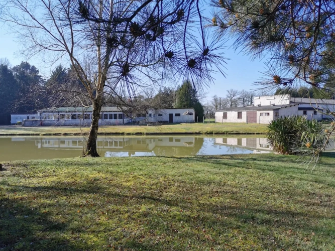 Photos 3 - Forestière - Guinguette