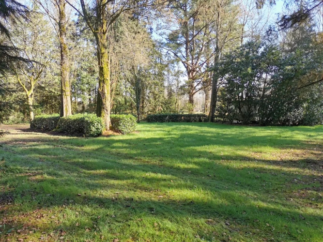 Photos 4 - Forestière - Guinguette