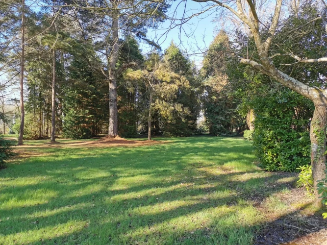 Photos 5 - Forestière - Guinguette