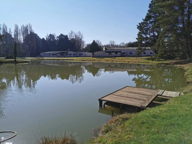 Photos 6 - Forestière - Guinguette