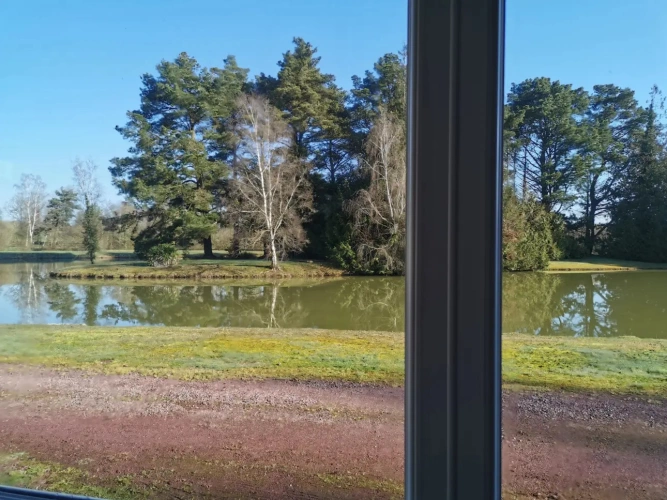 Photos 8 - Forestière - Guinguette