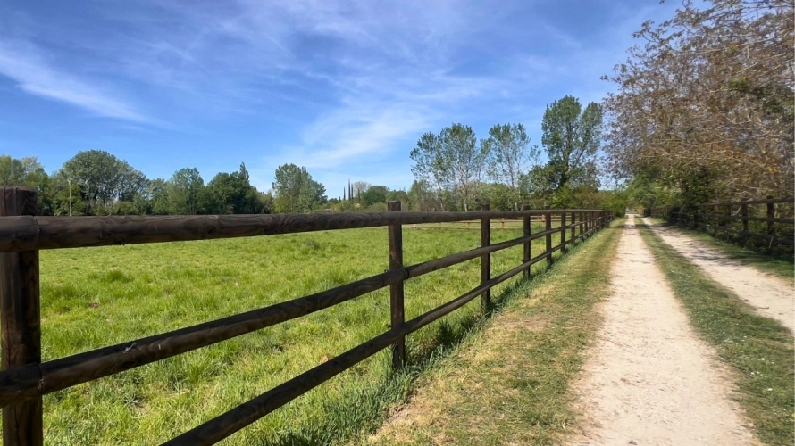 Photos 5 - Équestre - Somptueuse propriété de charme entre Luberon et Provence (84)