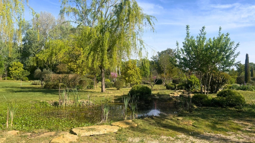 Photos 13 - Équestre - Somptueuse propriété de charme entre Luberon et Provence (84)