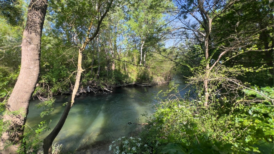Photos 14 - Équestre - Somptueuse propriété de charme entre Luberon et Provence (84)