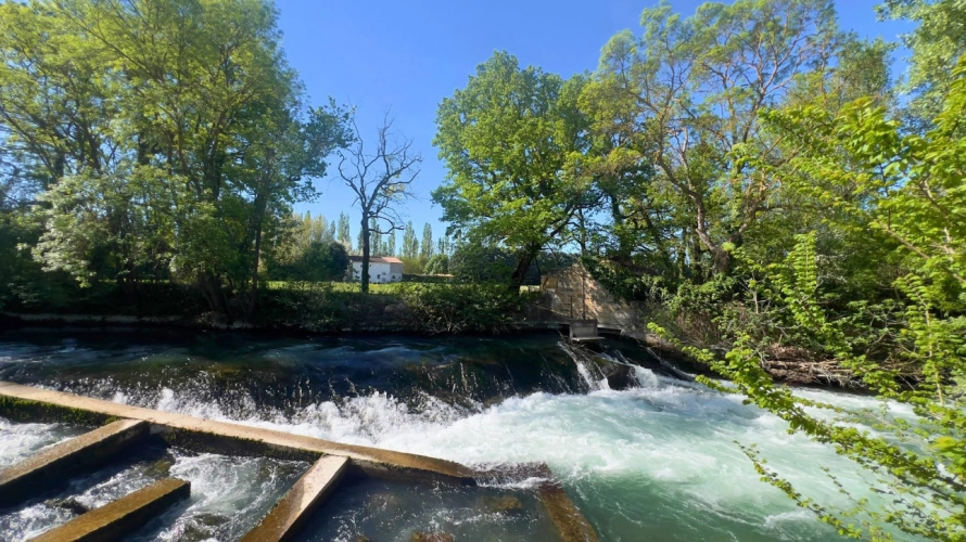 Photos 15 - Équestre - Somptueuse propriété de charme entre Luberon et Provence (84)
