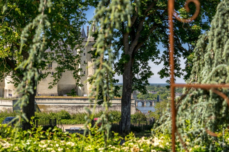 Photos 1 - Prestige - Propriete d'exception à vendre à SAUMUR (49400)  Panorama d'exception sur le château et la Loire - 328m² - 2278m²-piscine