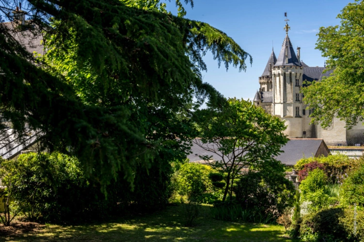 Photos 6 - Prestige - Propriete d'exception à vendre à SAUMUR (49400)  Panorama d'exception sur le château et la Loire - 328m² - 2278m²-piscine