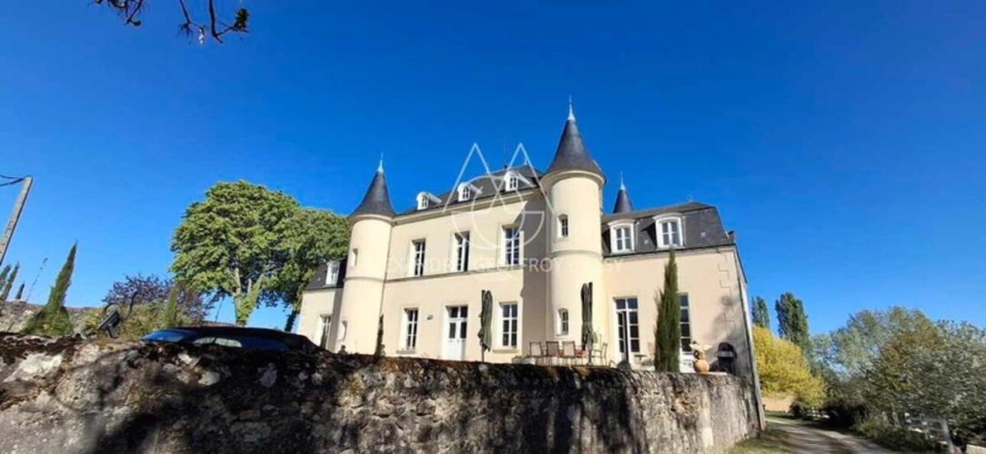 Photos 1 - Prestige - Magnifique château prêt à emménager à 20 min de Tours! Prenez simplement les clés et installez-vous