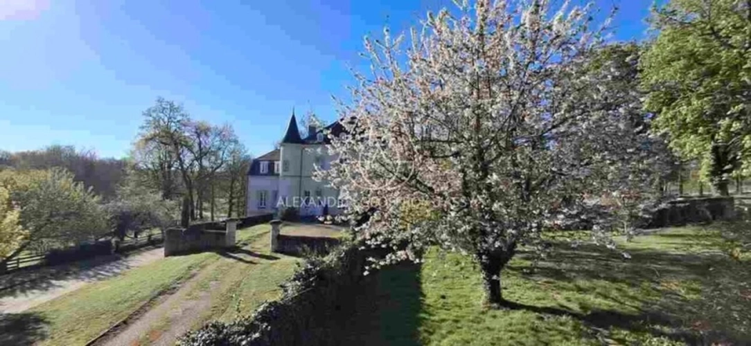 Photos 3 - Prestige - Magnifique château prêt à emménager à 20 min de Tours! Prenez simplement les clés et installez-vous