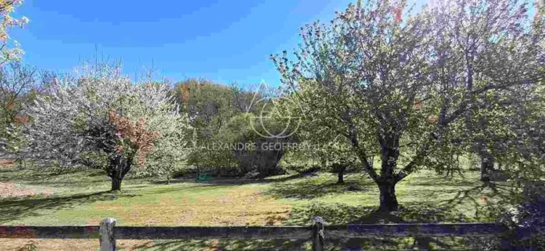 Photos 6 - Prestige - Magnifique château prêt à emménager à 20 min de Tours! Prenez simplement les clés et installez-vous